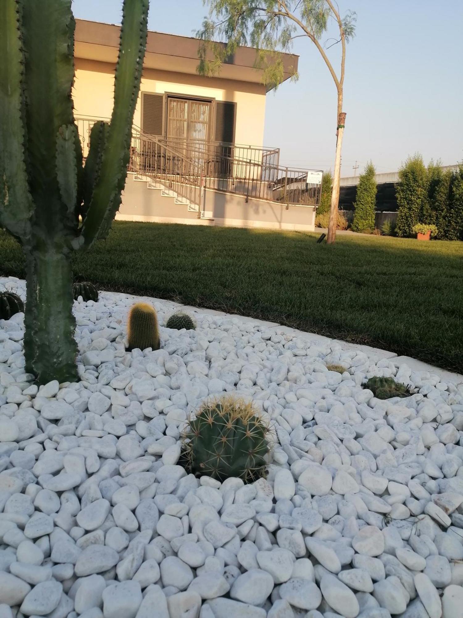 La Casa Del Borgo-Intero Appartamento Latina Extérieur photo
